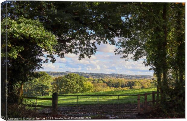 Autumn field view Canvas Print by Martin fenton