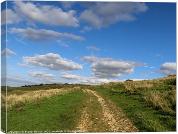 Cleeve Hill pathway Canvas Print by Martin fenton
