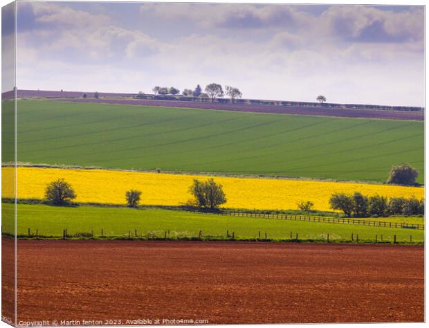Fields of colour Canvas Print by Martin fenton
