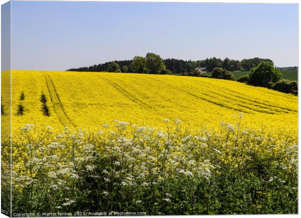 Yellow Cotswolds field Canvas Print by Martin fenton
