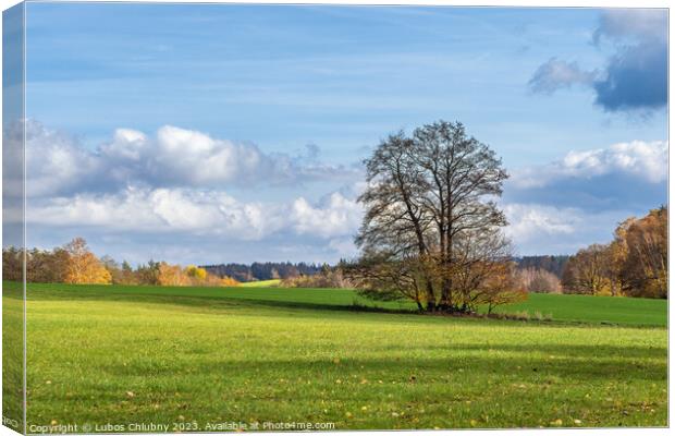Lonely tree in autumn landscape Canvas Print by Lubos Chlubny