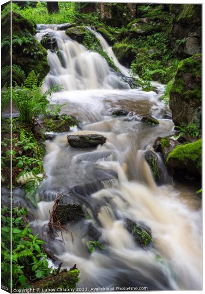 Waterfall, wild river Doubrava in Czech Republic. Valley Doubrava near Chotebor. Canvas Print by Lubos Chlubny