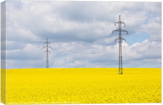 High voltage power lines above rapeseed field (Brassica napus). Plant for vegetable oil, green energy and biodiesel. Canvas Print by Lubos Chlubny