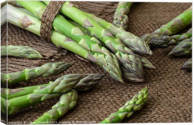 Raw garden asparagus stems. Fresh green spring vegetables on wooden background. (Asparagus officinalis). Canvas Print by Lubos Chlubny