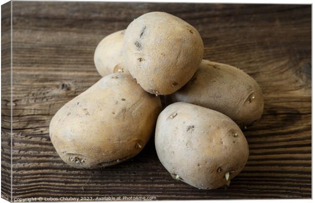 Pile of raw potatoes on rustic wooden table Canvas Print by Lubos Chlubny