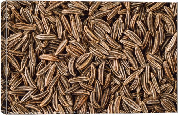 Cumin seed aromatic spice, food background Canvas Print by Lubos Chlubny