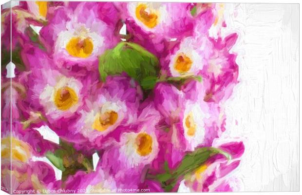 Oil painting pink dendrobium orchid flowers Canvas Print by Lubos Chlubny
