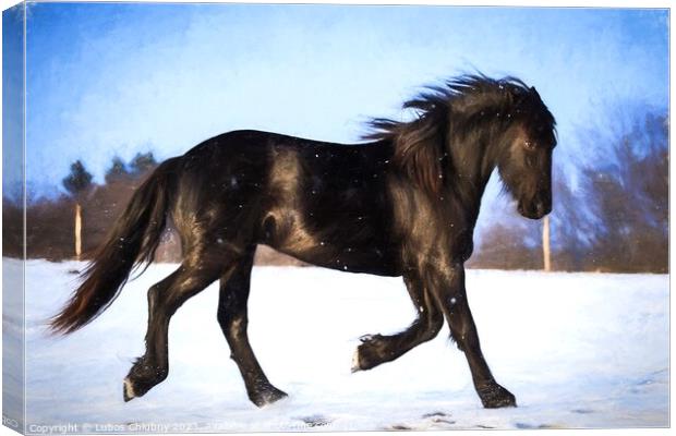 Oil painting foal Friesian horse running in the snow Canvas Print by Lubos Chlubny
