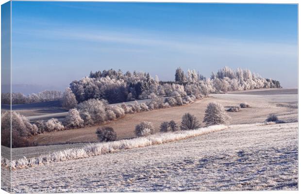 Winter landscape with frozen trees in field and blue sky Canvas Print by Lubos Chlubny