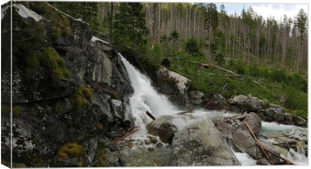 Scenic view of waterfall in forest Canvas Print by Irena Chlubna