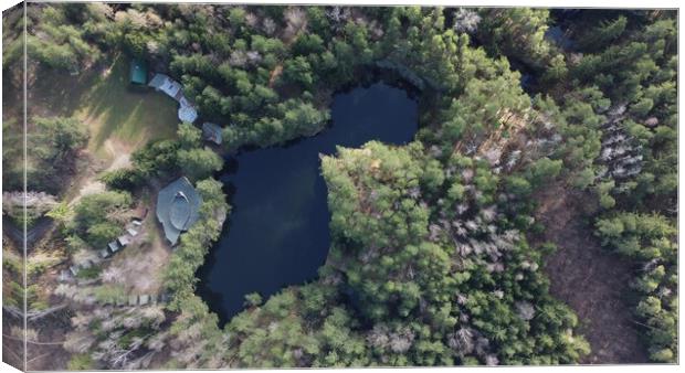 Lake surrounded by trees. Beautiful landscape in aerial drone shot. Canvas Print by Irena Chlubna