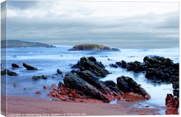 Red Rocks at Coldingham Scotland Canvas Print by Steven King