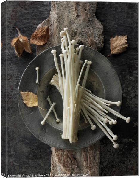 Photo of the facinating Straw like Enoki Mushrooms  Canvas Print by Paul E Williams
