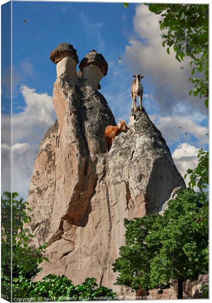 View of Goats on a Spectacular  Fairy Chimney Rock Formations in Canvas Print by Paul E Williams