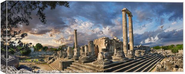 The Picturesque Ancient Greek ruins of Didyma Apollo Temple Canvas Print by Paul E Williams