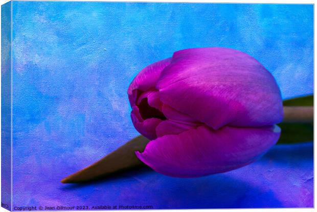Vibrant, textured, pink tulip Canvas Print by Jean Gilmour
