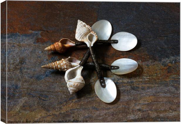 Shell Spoons Canvas Print by Jean Gilmour