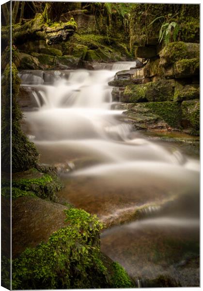 The Mystical Clydach Gorge Watery Staircase Canvas Print by Jeff Davies