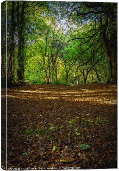 The forest floor Canvas Print by Jeff Davies