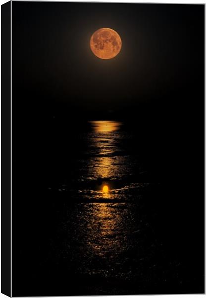 Moon down over the Brightlingsea Creek  Canvas Print by Tony lopez