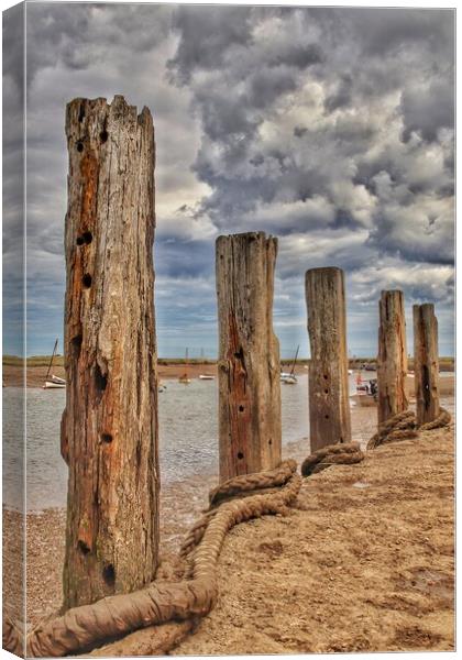 Burnham Overy Staithes Harbour mooring posts Canvas Print by Tony lopez