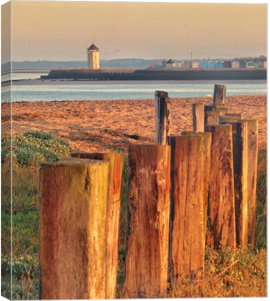 Batemans tower Brightlingsea basking in the sunrise rise  Canvas Print by Tony lopez