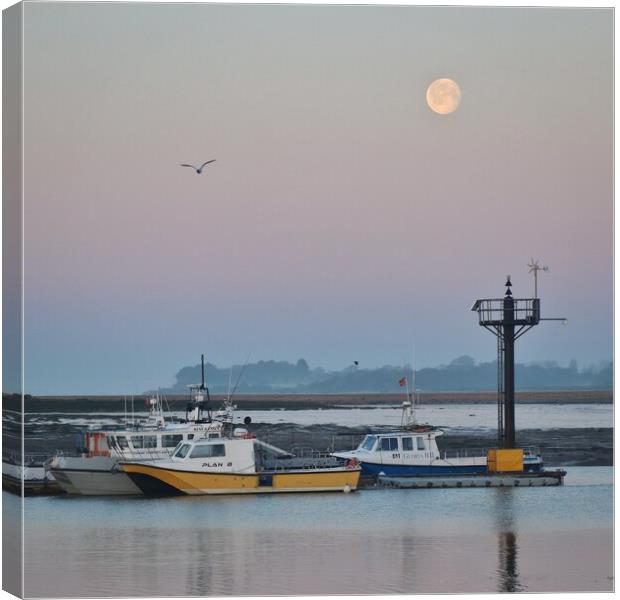 Moon down over Brightlingsea Harbour  Canvas Print by Tony lopez