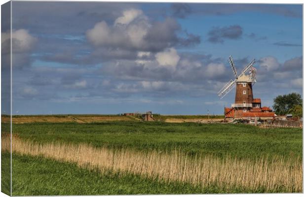 Cley windmill in norfolk basking in the afternoon sun  Canvas Print by Tony lopez