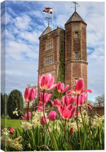 Sissinghurst castle tulips on a sunny day  Canvas Print by Tony lopez