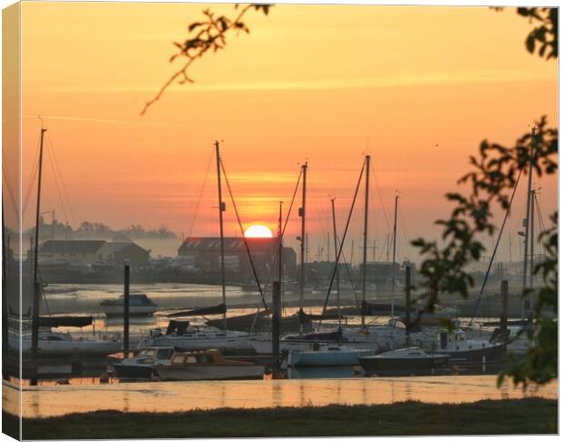 Sunrise over the Brightlingsea moorings  Canvas Print by Tony lopez