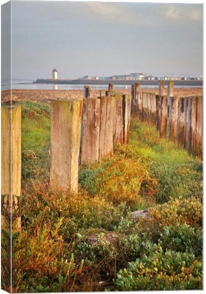 Views over point clear to Brightlingsea  Canvas Print by Tony lopez