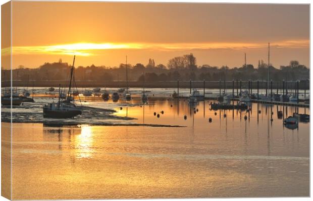 Sun rising over Brightlingsea Harbour  Canvas Print by Tony lopez
