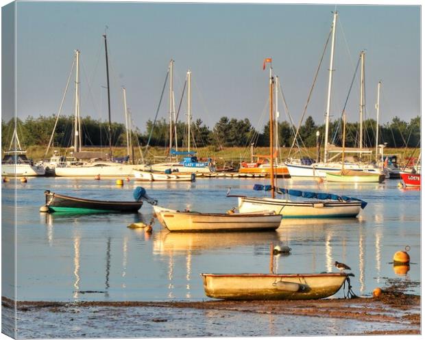 Sunrise colour and light kver Brightlingsea Hard  Canvas Print by Tony lopez