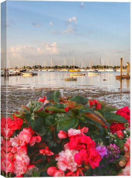 Views across the Brightlingsea Harbour  Canvas Print by Tony lopez
