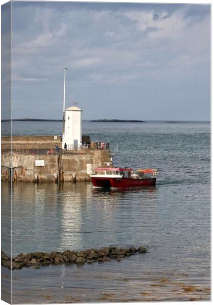 Home at the end oh the day to Seahouses Harbour  Canvas Print by Tony lopez