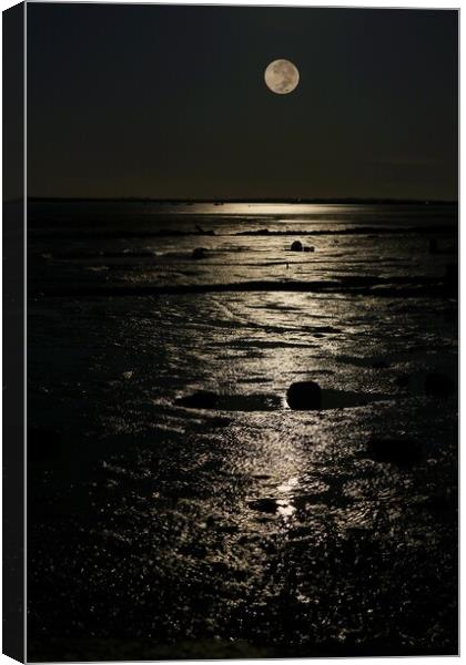 Full moon down over the Brightlingsea Creek  Canvas Print by Tony lopez