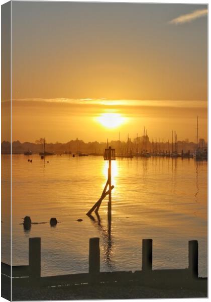 Sunrise over Brightlingsea Harbour  Canvas Print by Tony lopez