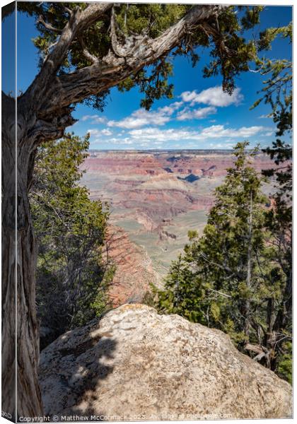 A View of the Grand Canyon Canvas Print by Matthew McCormack
