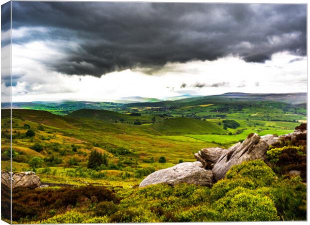 The View from Barden Moor Canvas Print by James Elkington