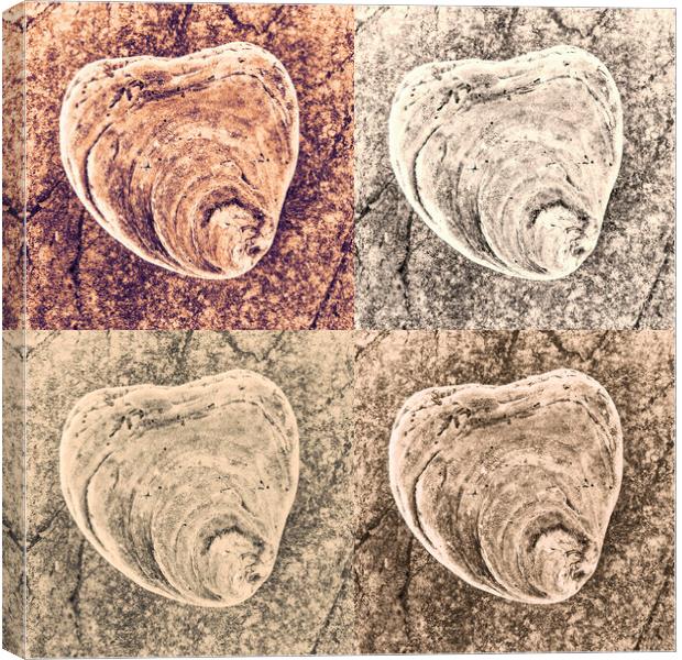 Seashell on Rock x 4 Canvas Print by Kevin Howchin