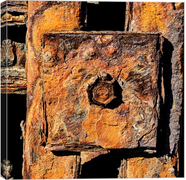 Rusty Bolt, New Quay, Wales Canvas Print by Kevin Howchin