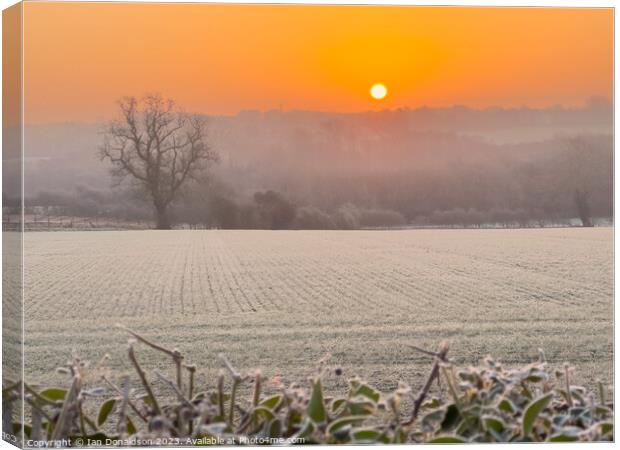 Enchanting Frozen Sunrise Canvas Print by Ian Donaldson