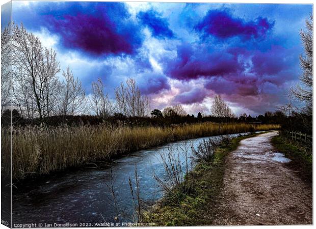 The Ice Canal Canvas Print by Ian Donaldson