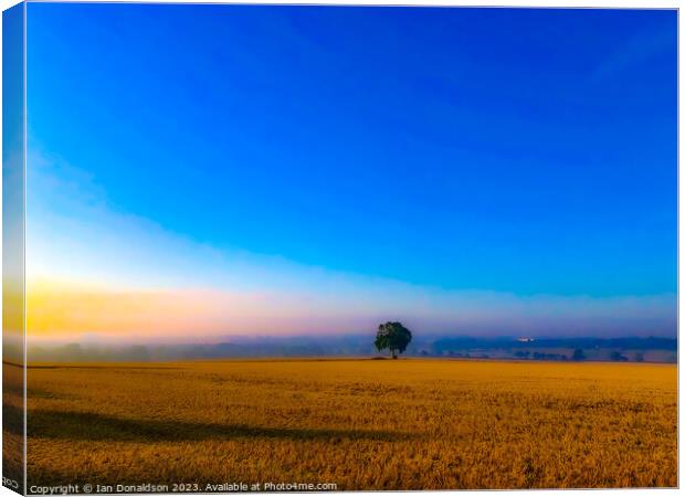 Lone Tree Canvas Print by Ian Donaldson