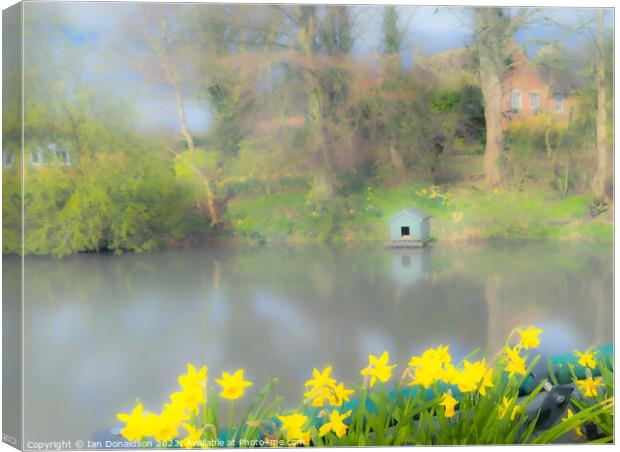 Spring at the Duckpond Canvas Print by Ian Donaldson