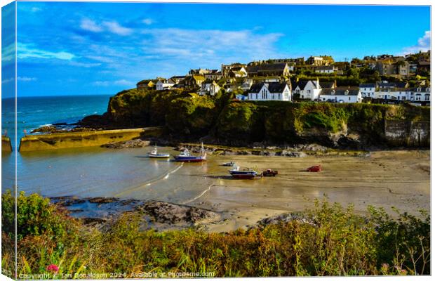 Tide’s Out at Port Isaac Canvas Print by Ian Donaldson