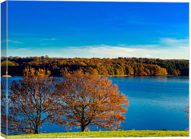 Autumn View Canvas Print by Ian Donaldson