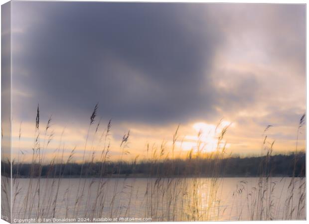 Winter Sun over a Leicestershire Lake Canvas Print by Ian Donaldson