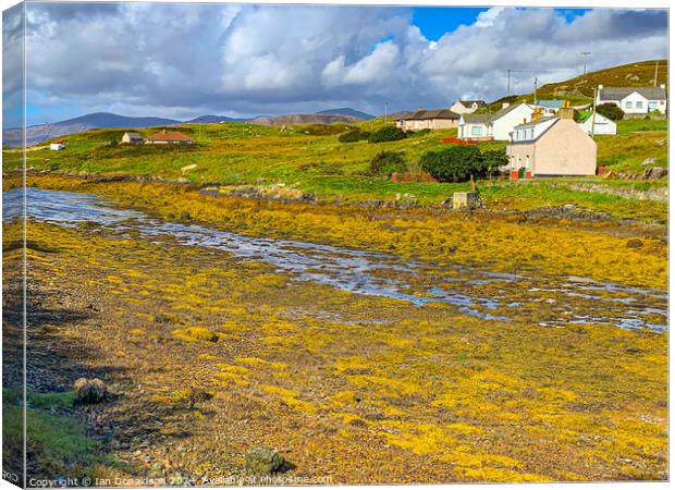 Isle of  Scalpay  Canvas Print by Ian Donaldson