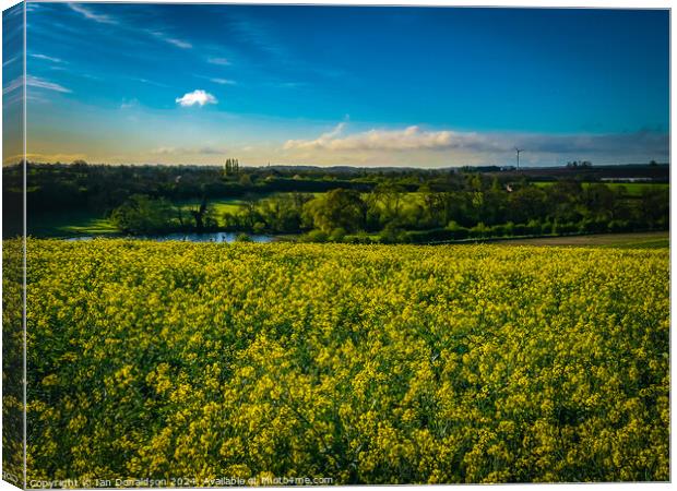 Rapeseed Fields Canvas Print by Ian Donaldson